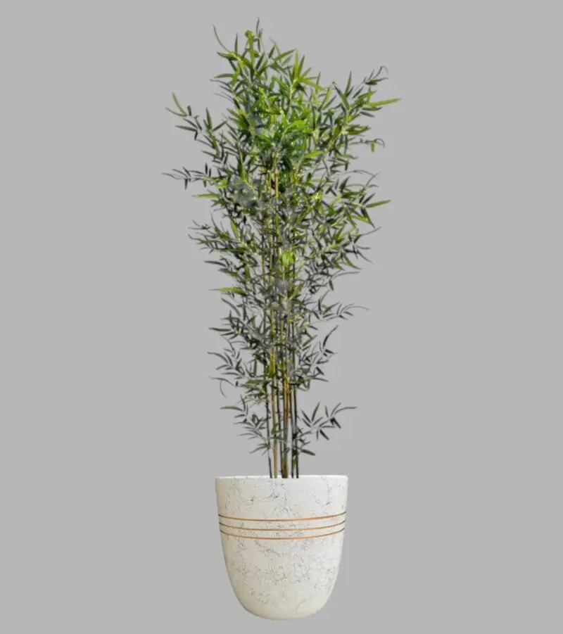 Amazing Artificial Bamboo Plant in a Nice Ceramic Pot — Artificial Plants for Dubai & UAE delivery | Planto.ae