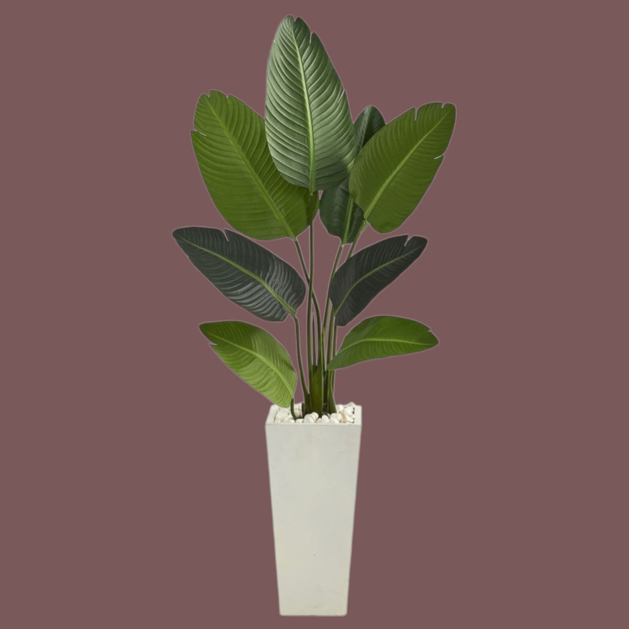 Artificial Bird Of Paradise In White Big Fiber Pot — Artificial Plants for Dubai & UAE delivery | Planto.ae
