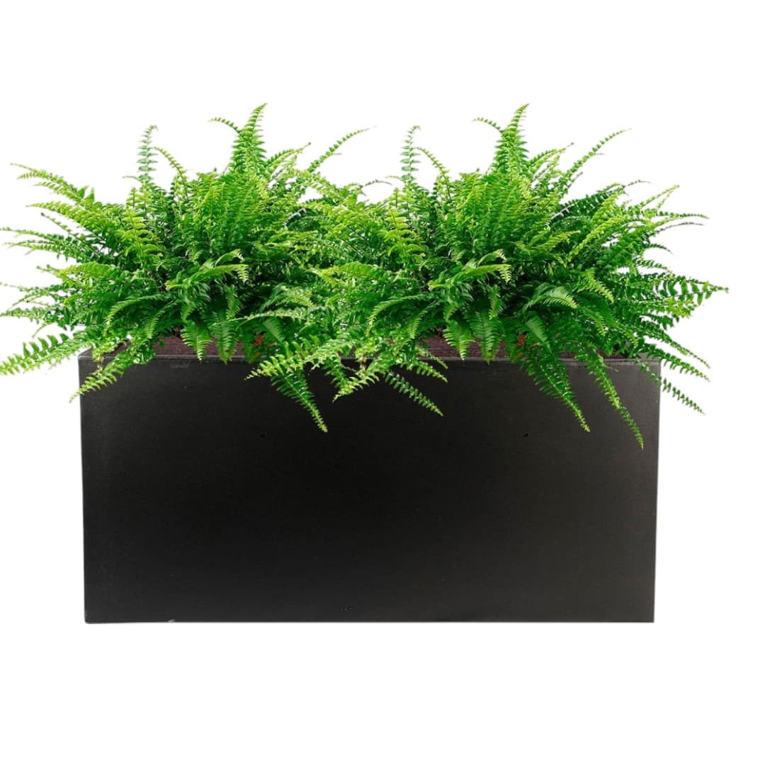 Artificial  Fern in Black Rectangular Planter — Artificial Plants for Dubai & UAE delivery | Planto.ae