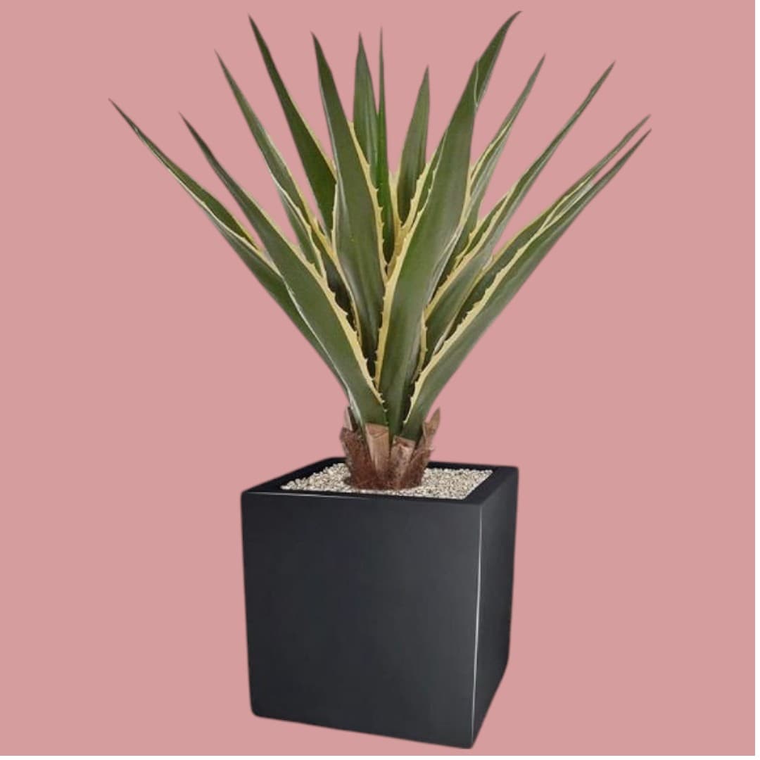 Artificial Furcraea Agave plant (80 cm) — Artificial Plants for Dubai & UAE delivery | Planto.ae