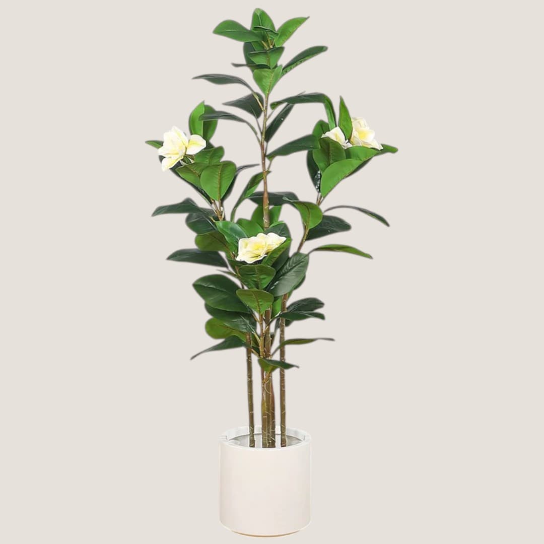 Artificial Magnolia Tree — Artificial Plants for Dubai & UAE delivery | Planto.ae