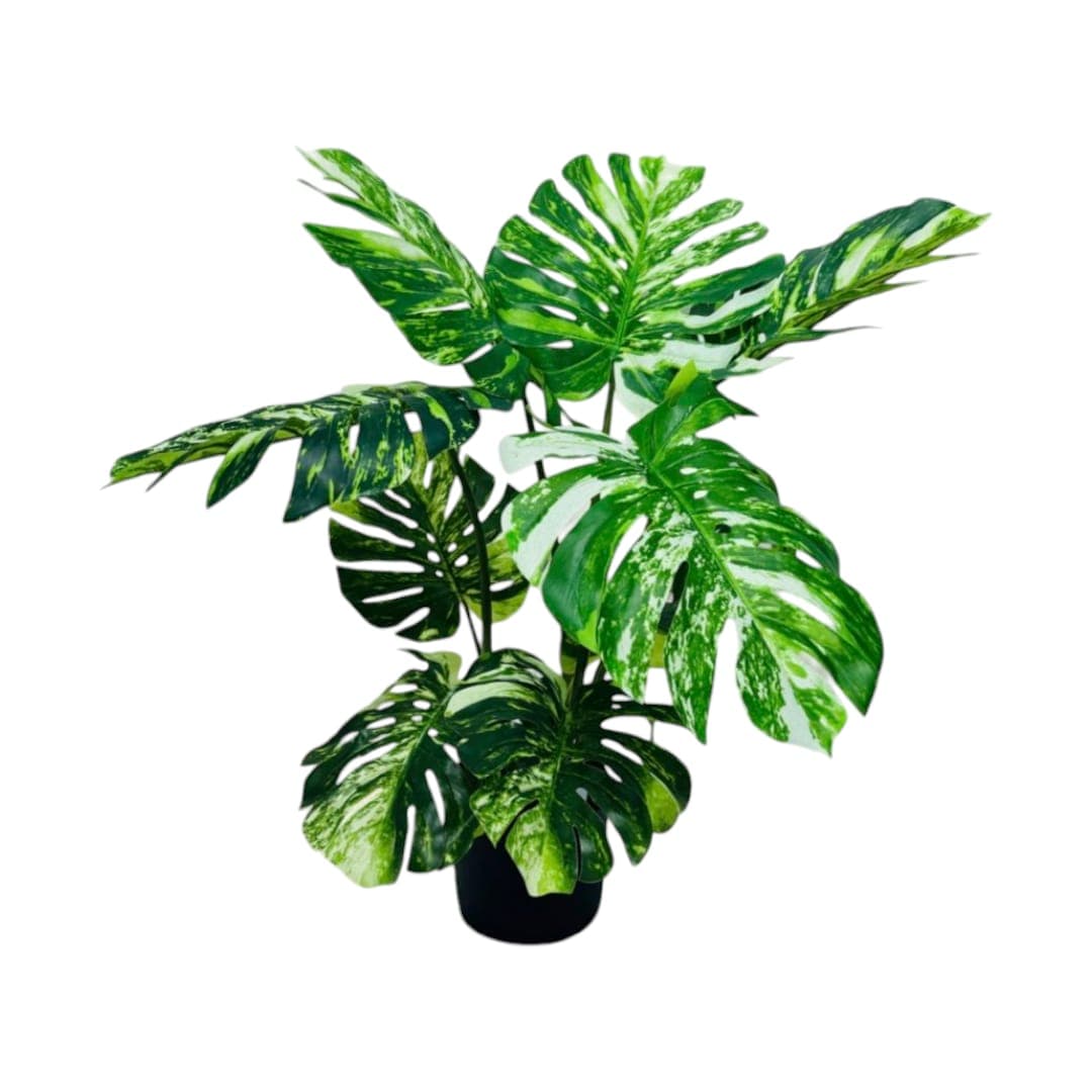 Artificial Monstera Plant — Artificial Plants for Dubai & UAE delivery | Planto.ae