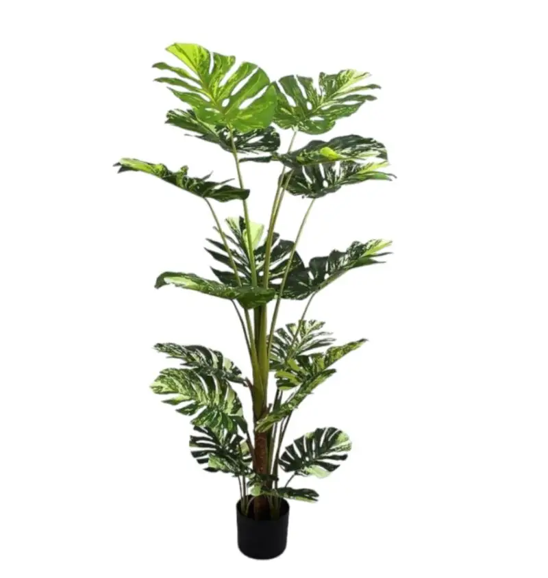 Artificial Monstera Tree — Artificial Plants for Dubai & UAE delivery | Planto.ae