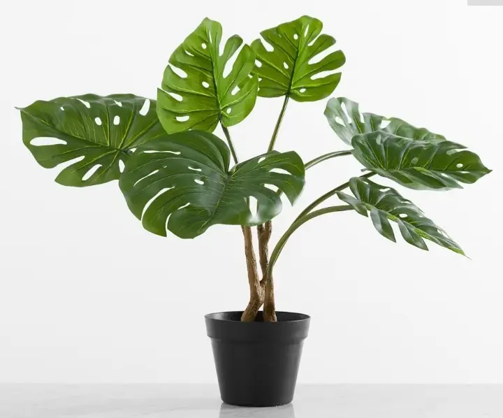 Artificial Nearly Natural Plant — Artificial Plants for Dubai & UAE delivery | Planto.ae