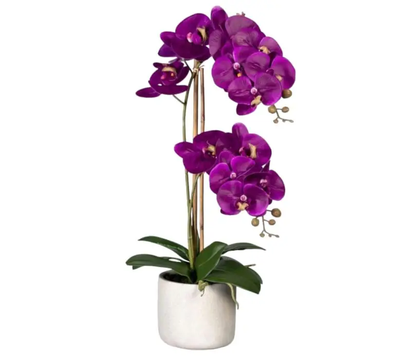 Artificial Orchid Arrangements In Ceramic Pot — Artificial Plants for Dubai & UAE delivery | Planto.ae