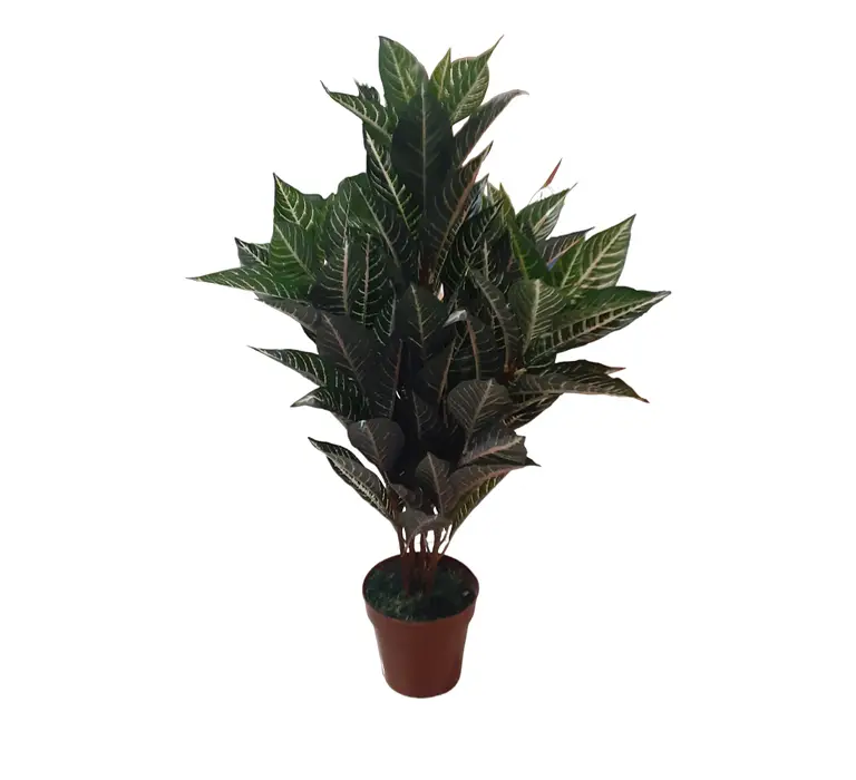 Artificial Plant — Artificial Plants for Dubai & UAE delivery | Planto.ae