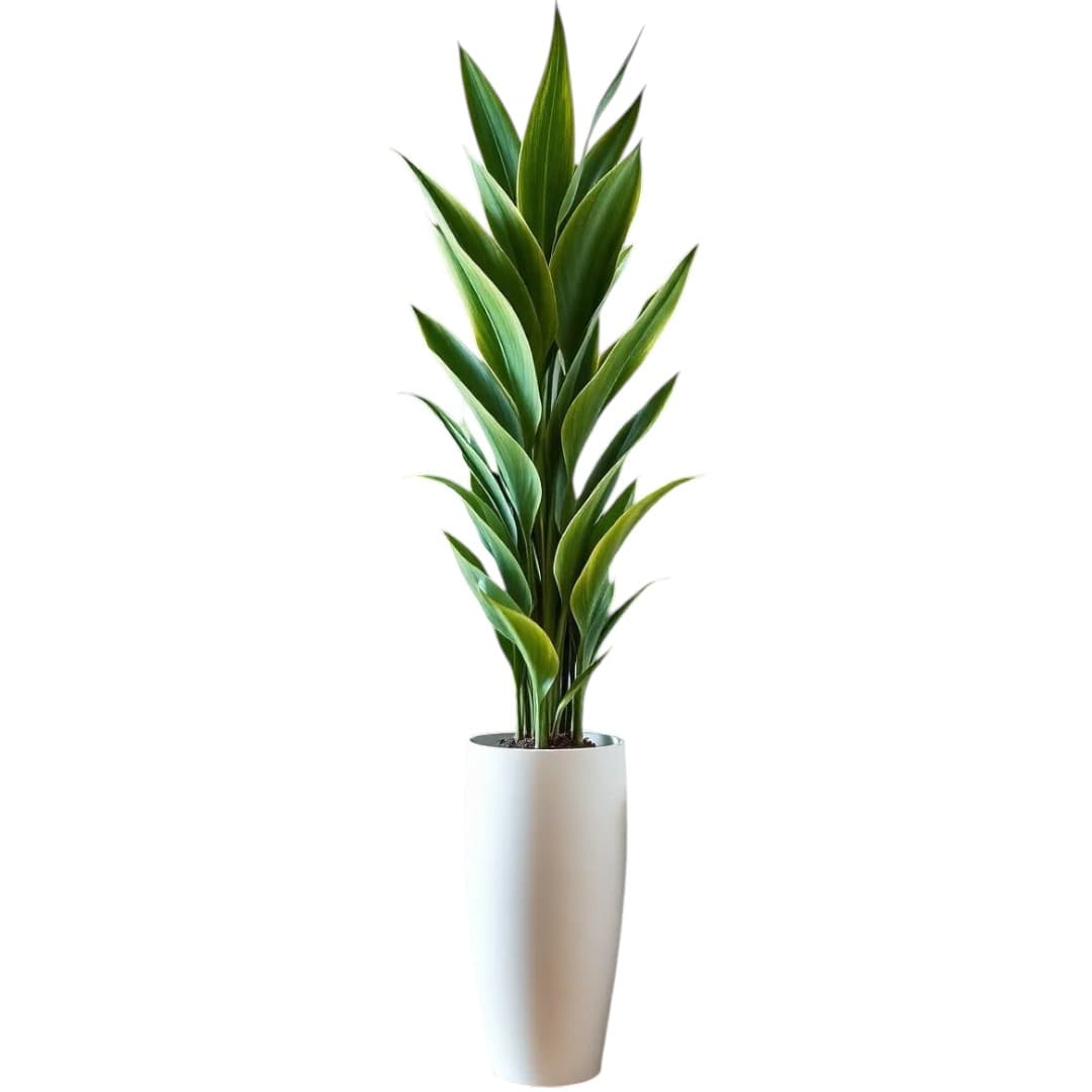 Artificial Plant In White Ceramic Pot — Artificial Plants for Dubai & UAE delivery | Planto.ae