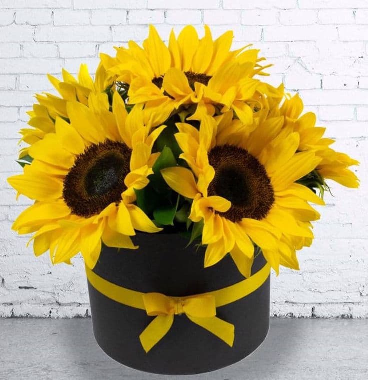 Artificial Sunflower Arrangement in Black Gift Box — Artificial Plants for Dubai & UAE delivery | Planto.ae