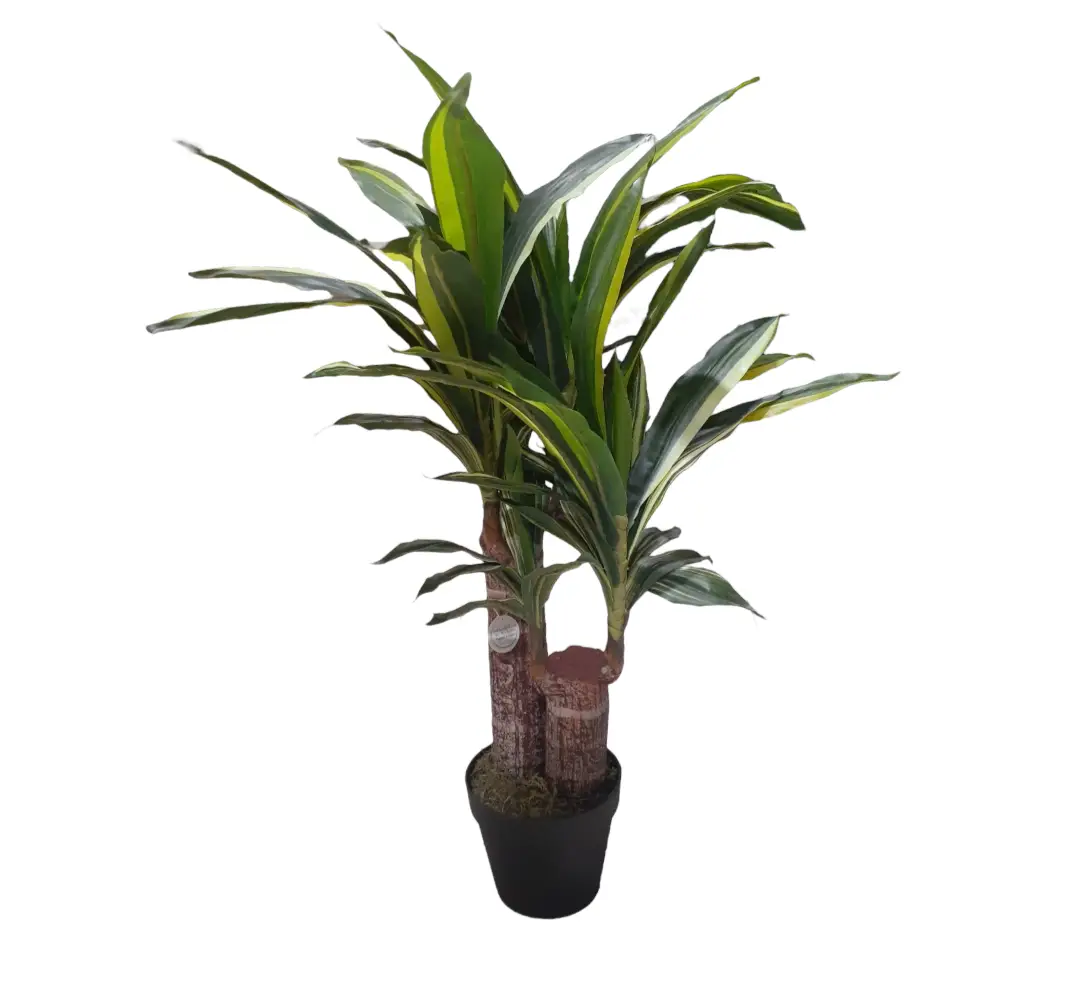 Artificial Two Stem Dracaena Nearly Natural Plant — Artificial Plants for Dubai & UAE delivery | Planto.ae
