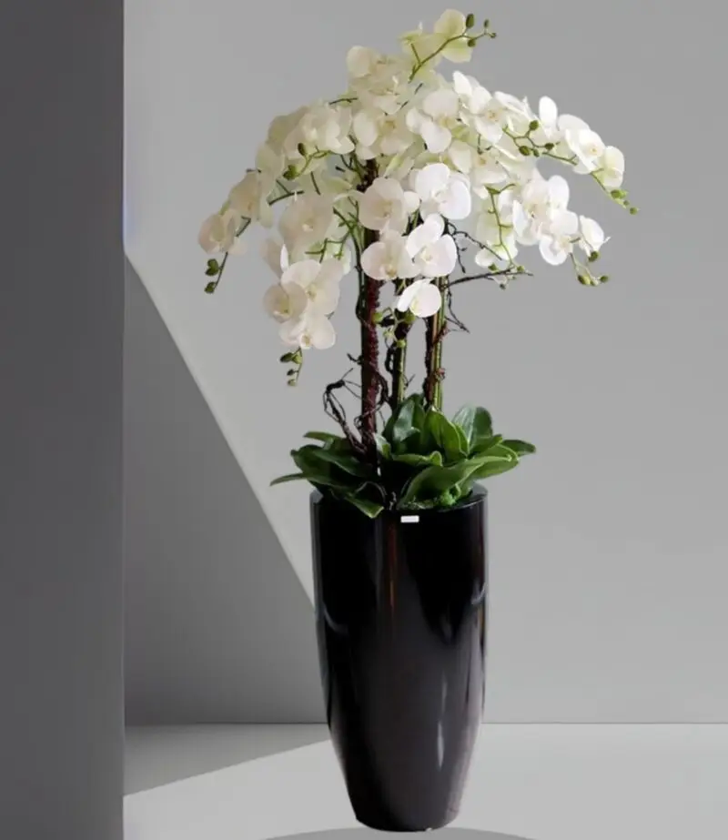 Beautiful Fake Orchid In Black Ceramic Pot — Artificial Plants for Dubai & UAE delivery | Planto.ae