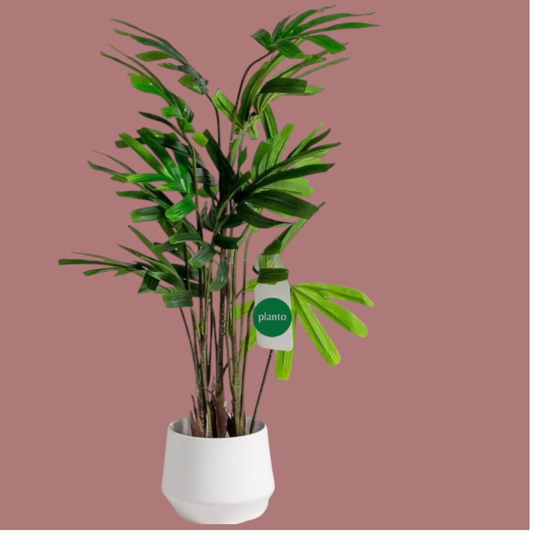 Chamaedorea Elegans Artificial Plant — Artificial Plants for Dubai & UAE delivery | Planto.ae
