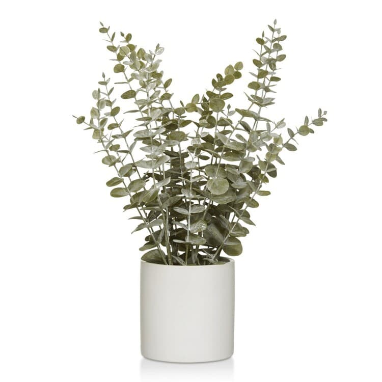 Fake/Artificial Eucalyptus Plant In White Ceramic Pot — Artificial Plants for Dubai & UAE delivery | Planto.ae