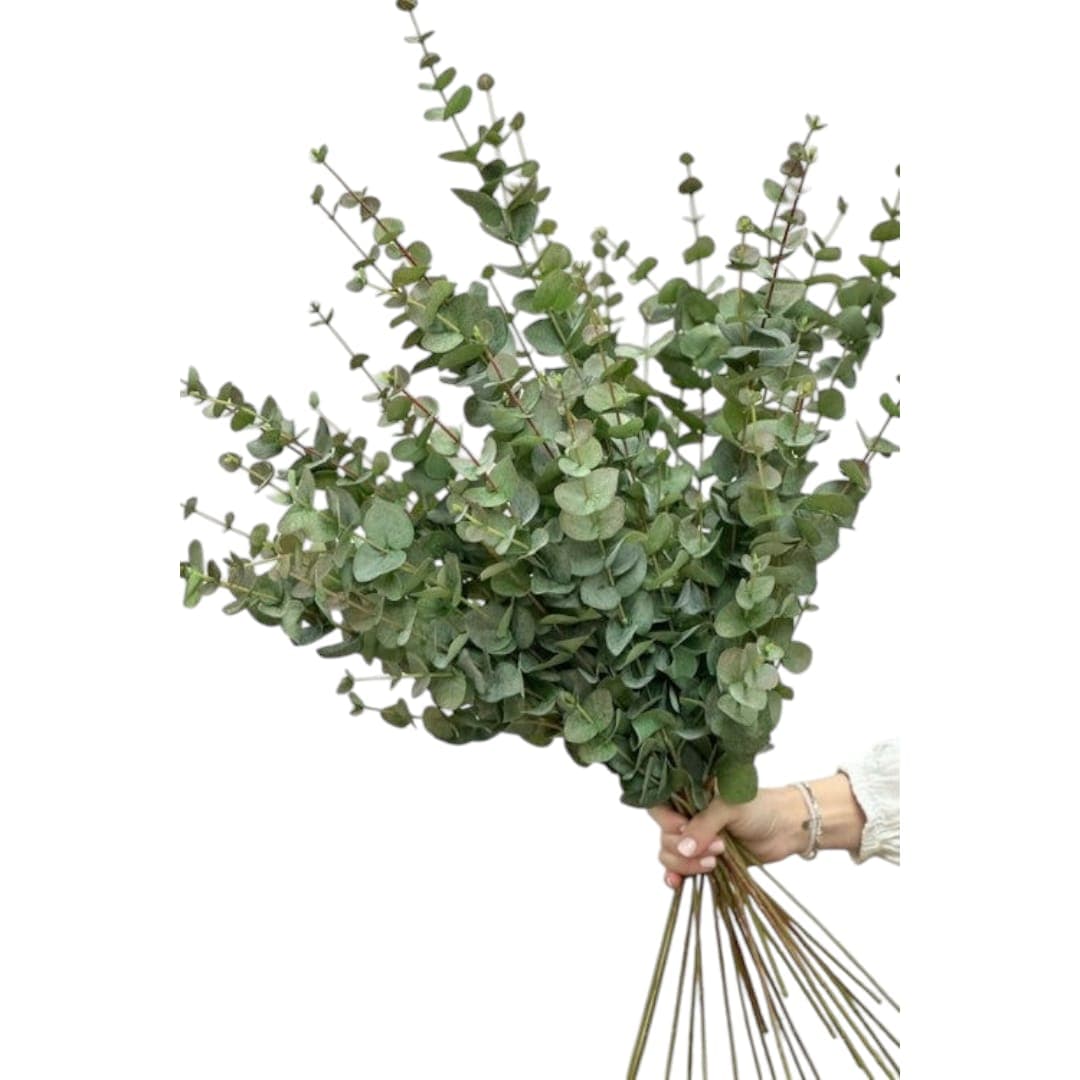 Fake Eucalyptus Bunch — Artificial Plants for Dubai & UAE delivery | Planto.ae
