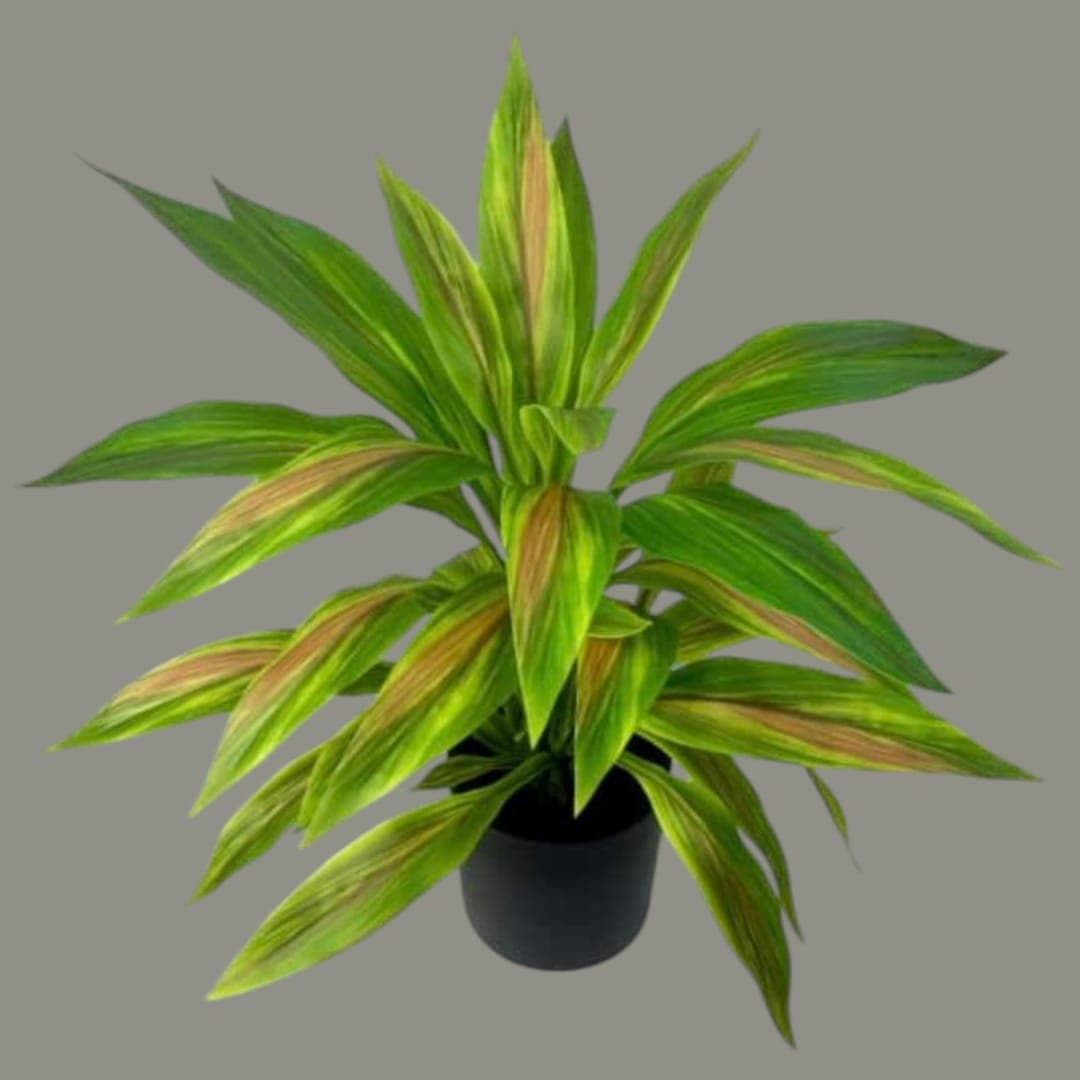 Fake Small Plant — Artificial Plants for Dubai & UAE delivery | Planto.ae