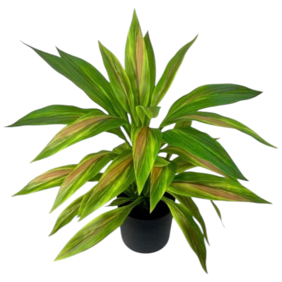 Fake Small Plant — photo 2 | Planto.ae UAE