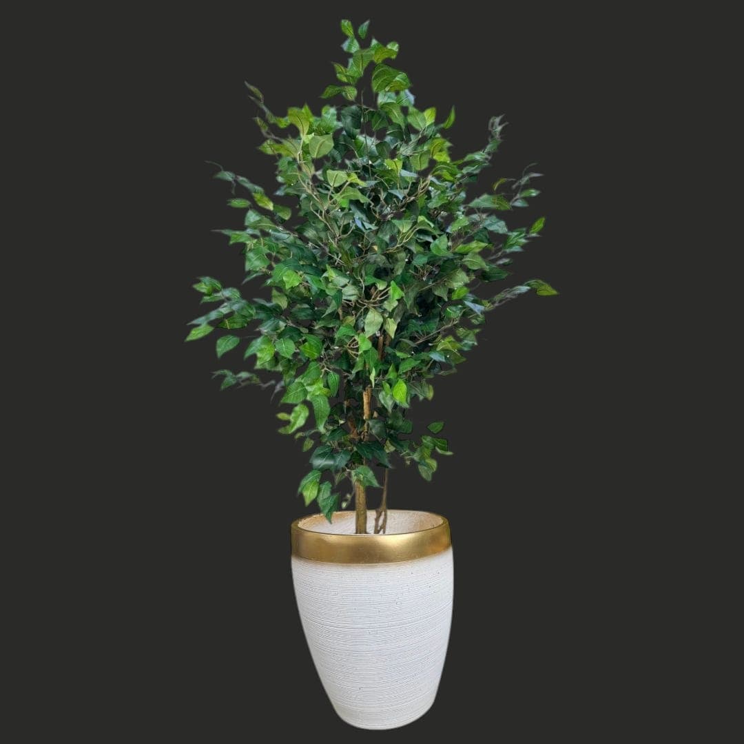 Ficus Artificial 150 cm In Ceramic pot — Artificial Plants for Dubai & UAE delivery | Planto.ae