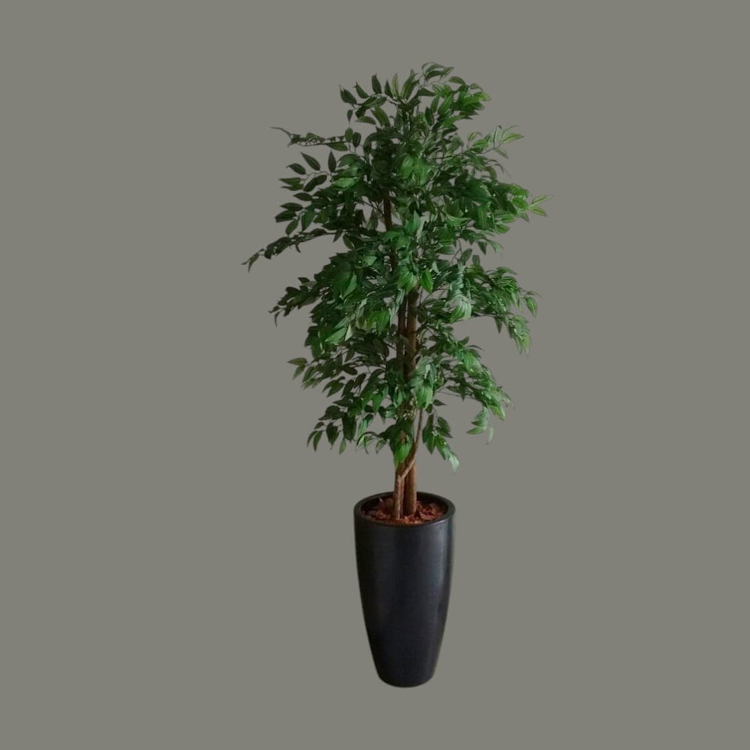 Ficus Fake 180CM In Black Ceramic pot — Artificial Plants for Dubai & UAE delivery | Planto.ae