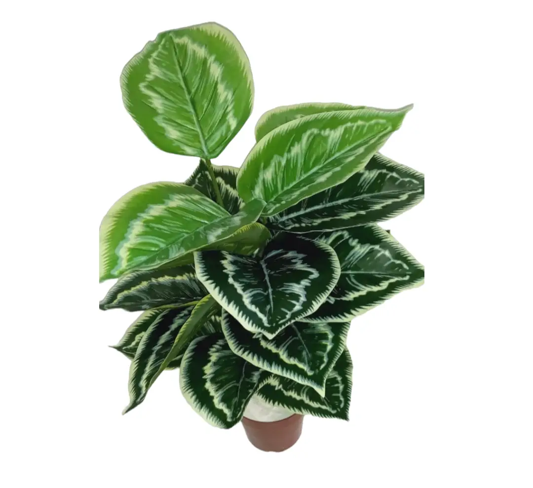 Looking Natural Artificial Beautiful Plant — Artificial Plants for Dubai & UAE delivery | Planto.ae