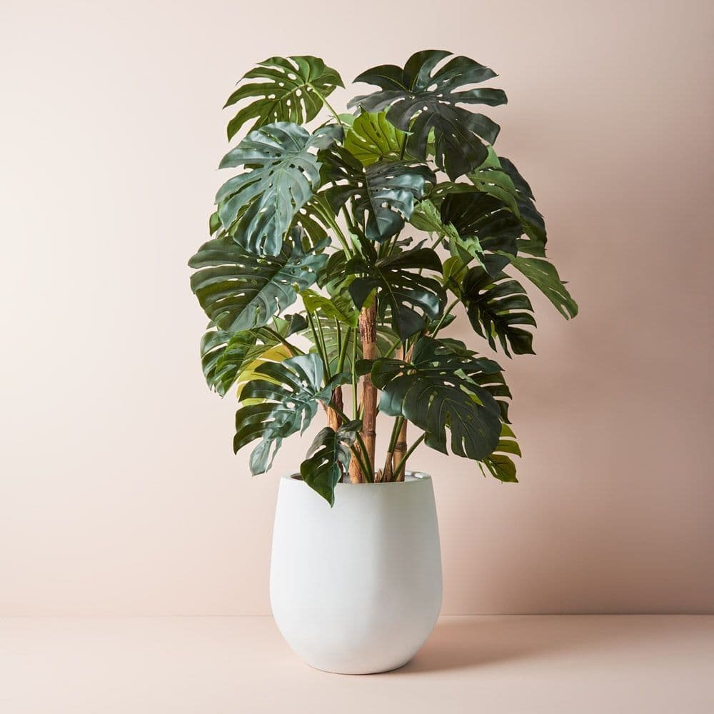 Monstera In Fiber White Pot — Artificial Plants for Dubai & UAE delivery | Planto.ae