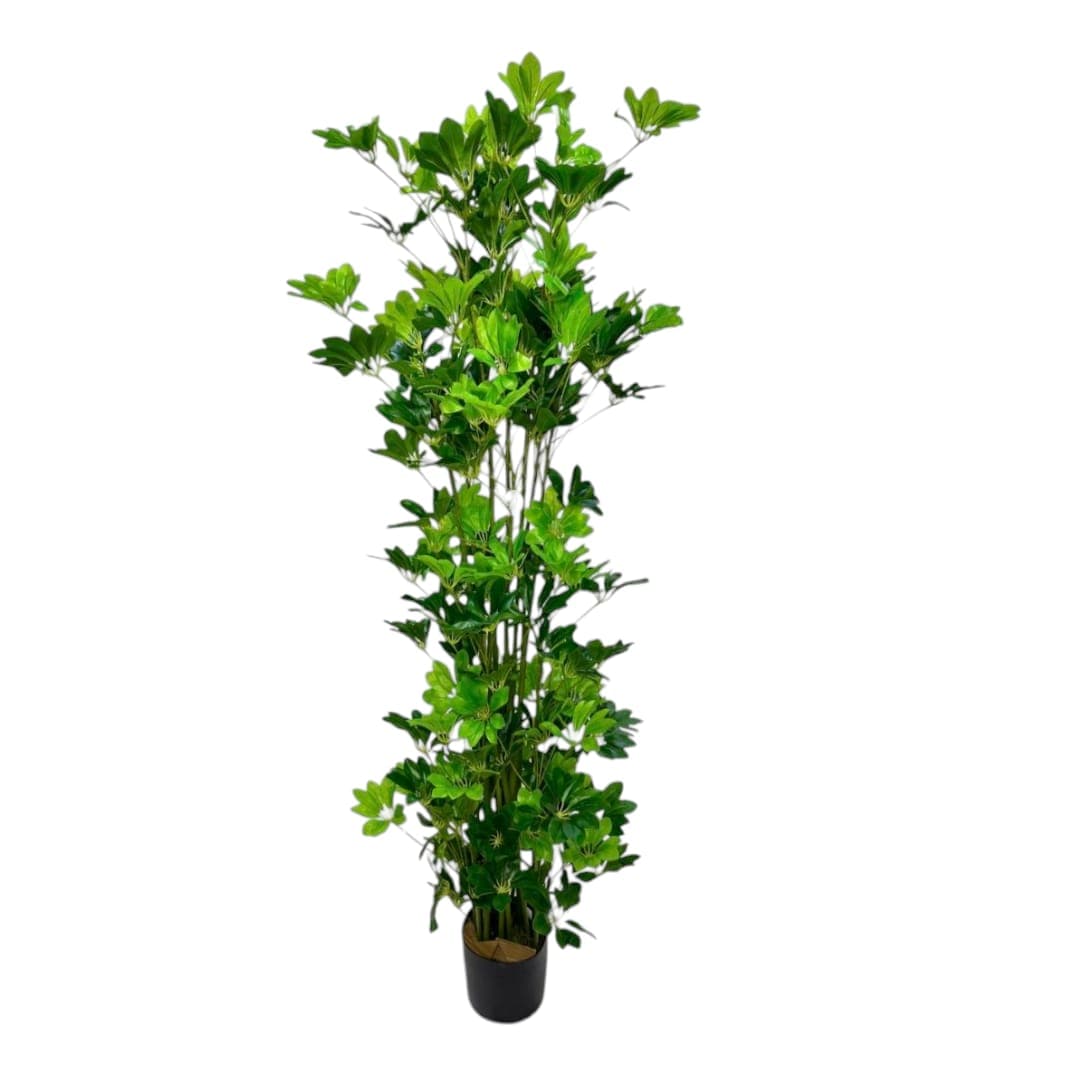 Schefflera ArtificialPlant — Artificial Plants for Dubai & UAE delivery | Planto.ae
