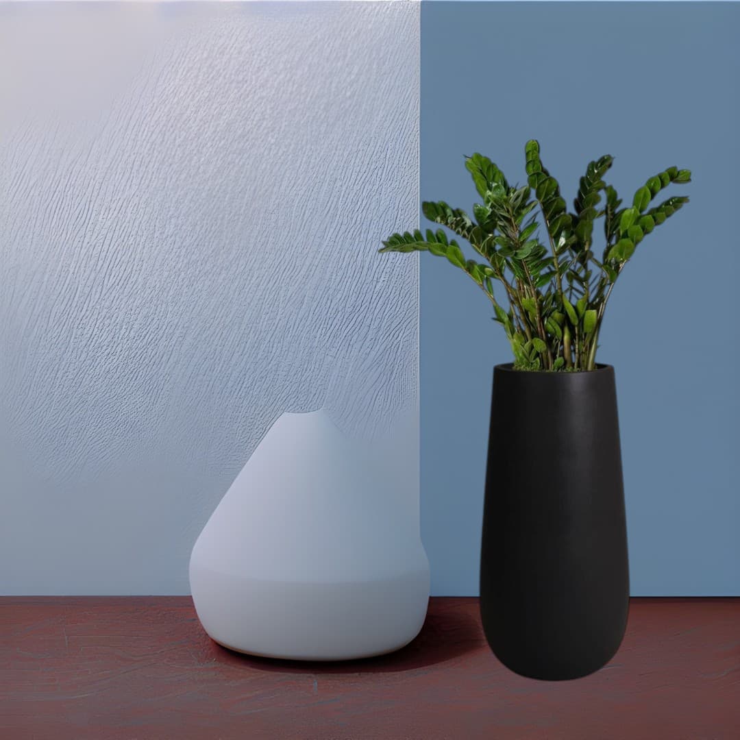 ZZ Zamioculcas Plant in Black Fiber Pot — photo 3 | Planto.ae UAE