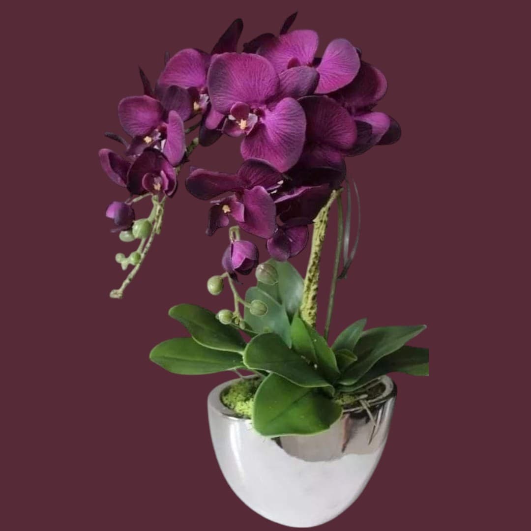 Elegant Artificial Orchid in silver Pot — Artificial Flowers And Gifting for Dubai & UAE delivery | Planto.ae