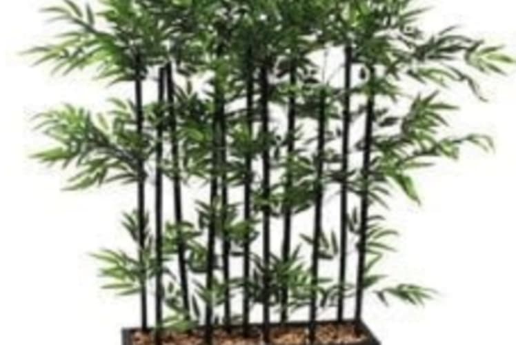 Artificial Bambo Plants In Blck Fiber Box — photo 2 | Planto.ae UAE