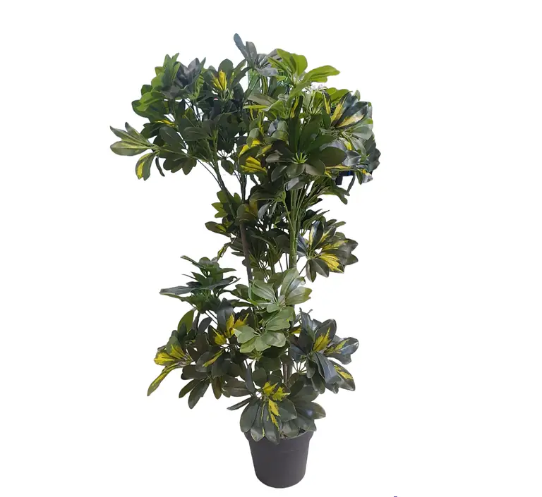 Artificial/Fake Green Schefflera Plant — photo 2 | Planto.ae UAE