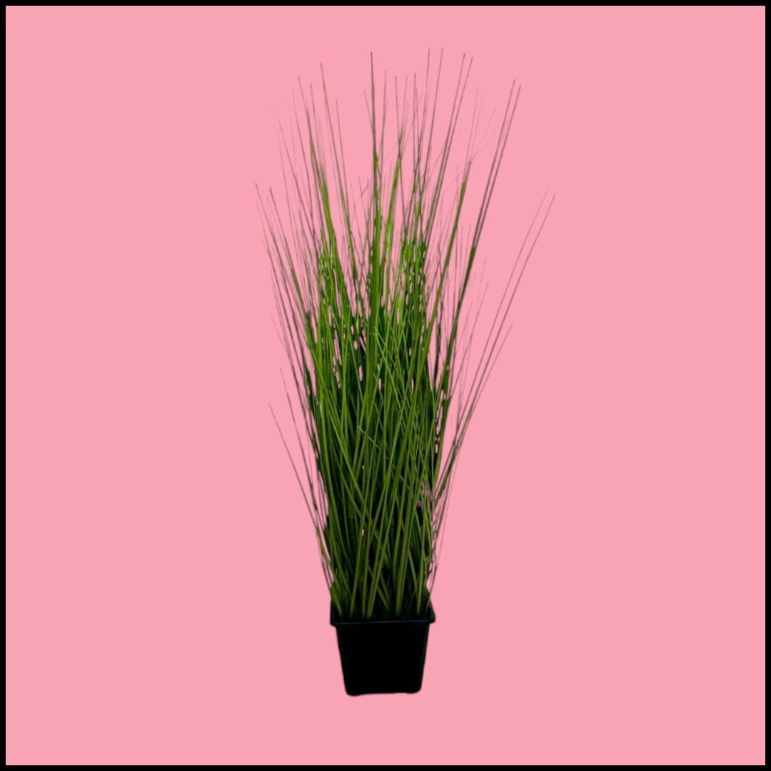 Artificial Grass — Artificial Plants for Dubai & UAE delivery | Planto.ae