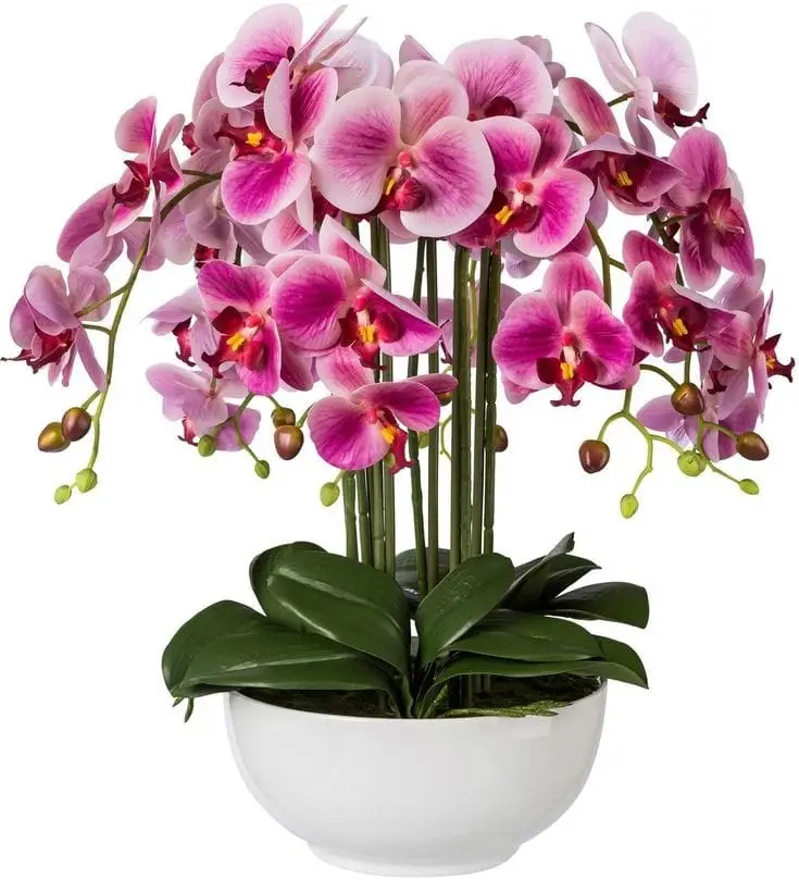 Artificial Orchid Arrangements Beautiful Color — photo 2 | Planto.ae UAE