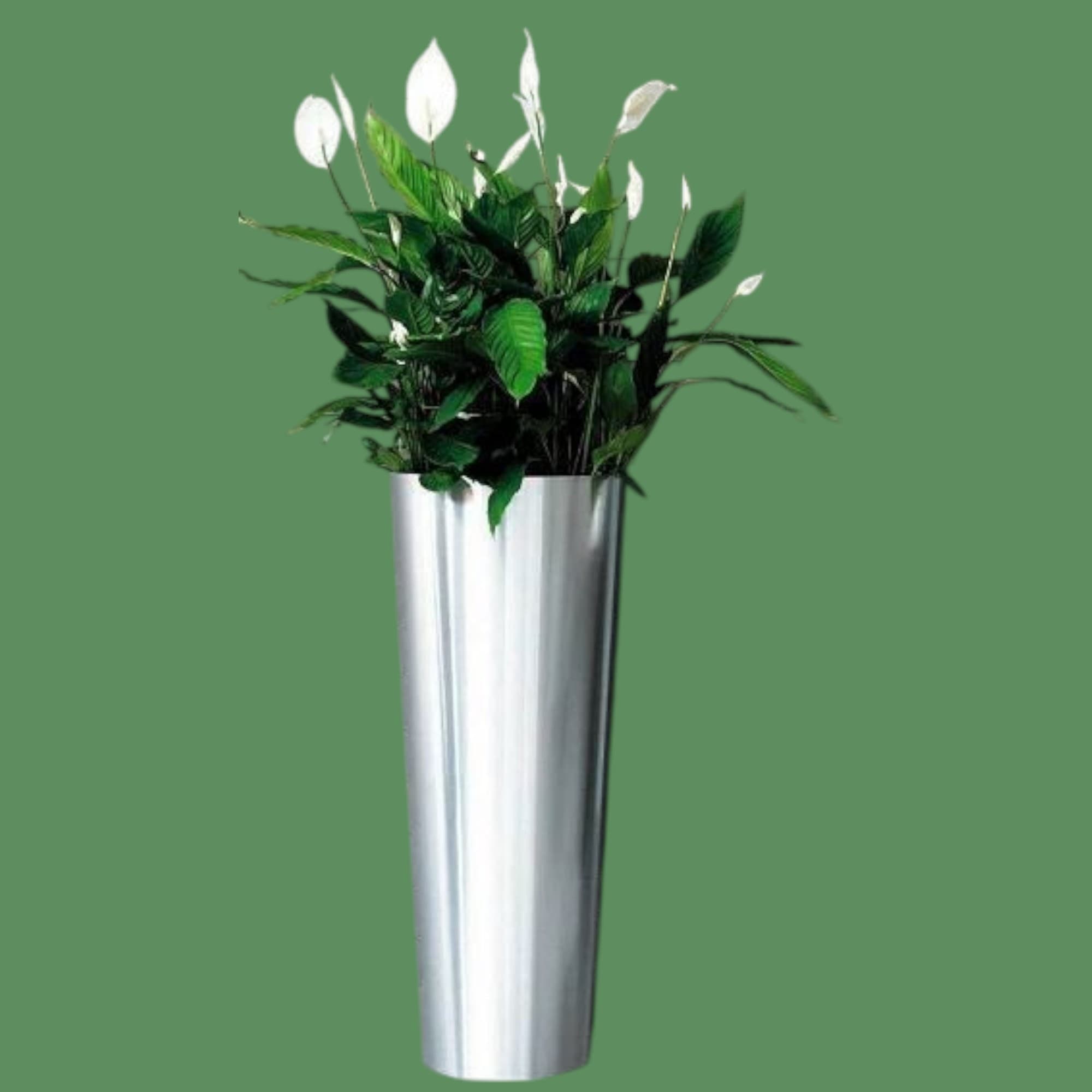 Artificial Peace Lilly In Big Silver Pot — photo 2 | Planto.ae UAE