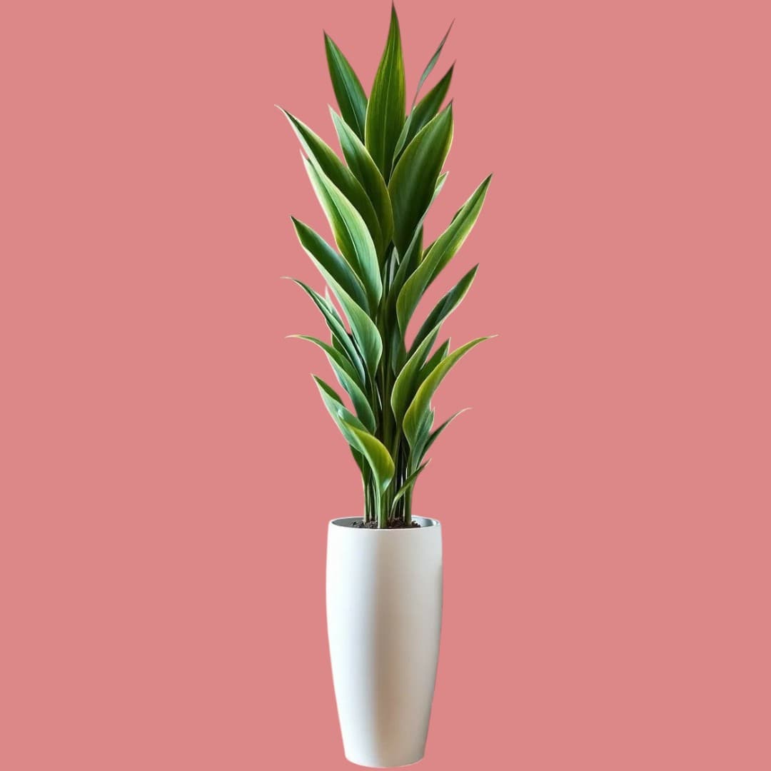 Artificial Plant In White Ceramic Pot — photo 2 | Planto.ae UAE