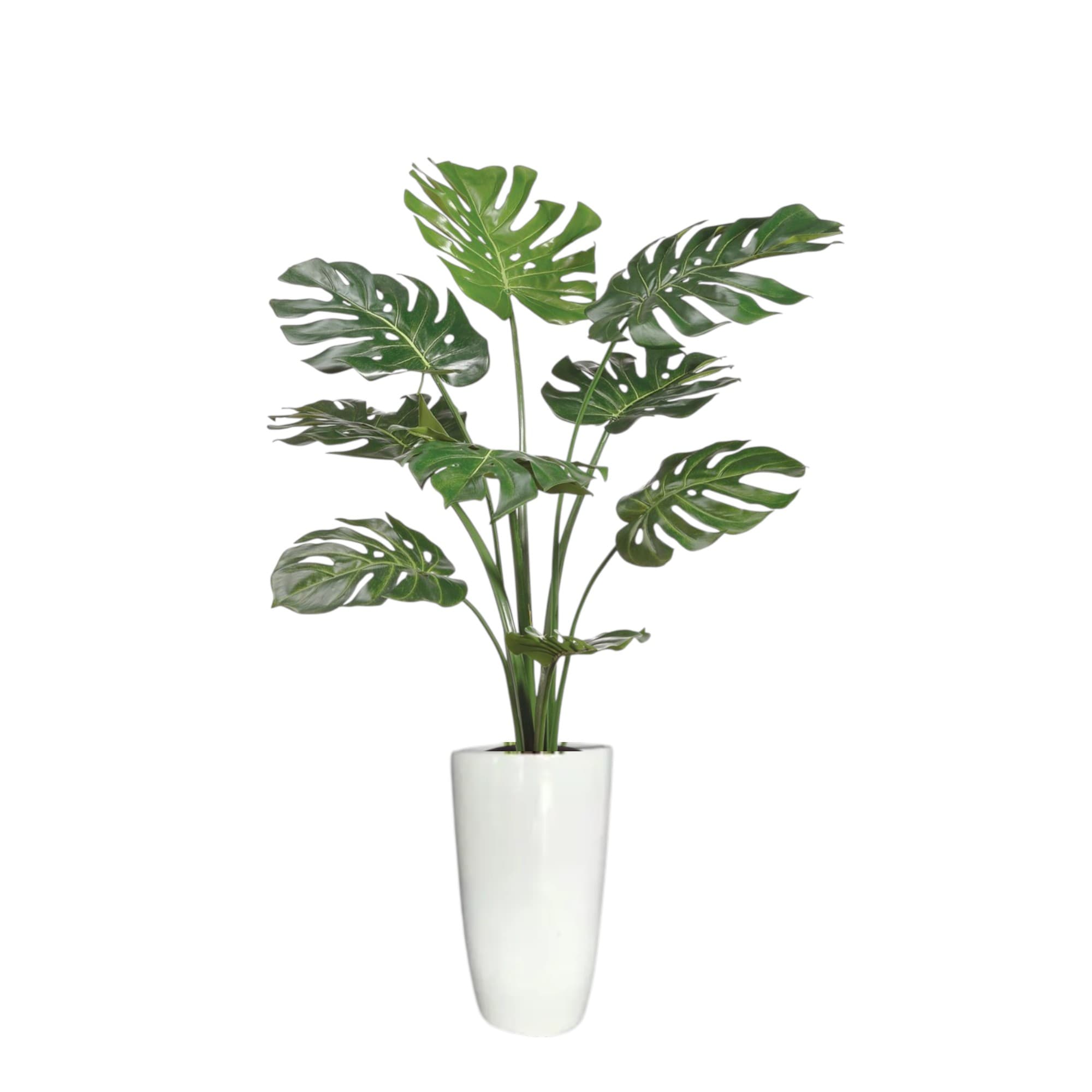 Artificial Plant In White Ceramic Pot-150cm — photo 2 | Planto.ae UAE
