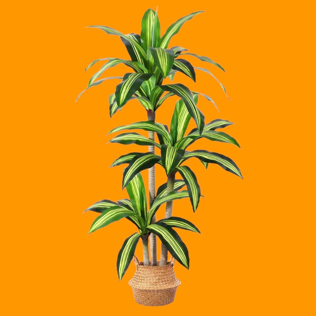 Artificial Plants, 6 Ft Dracaena Tree Faux Plants Indoor Outdoor Decor Fake Tree — Artificial Plants for Dubai & UAE delivery | Planto.ae
