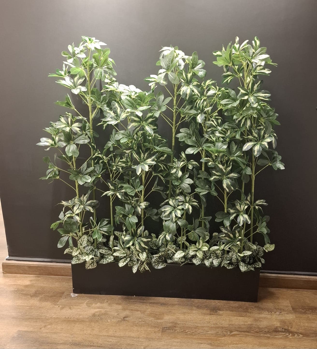 Beautiful PlantsArrangement In Black Fiber box — photo 2 | Planto.ae UAE