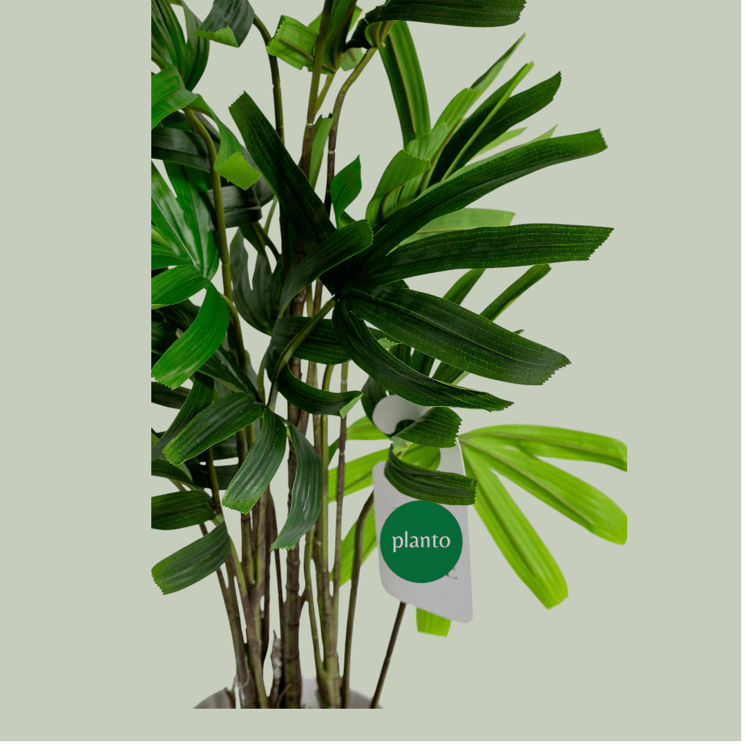 Chamaedorea Elegans Artificial Plant — photo 2 | Planto.ae UAE