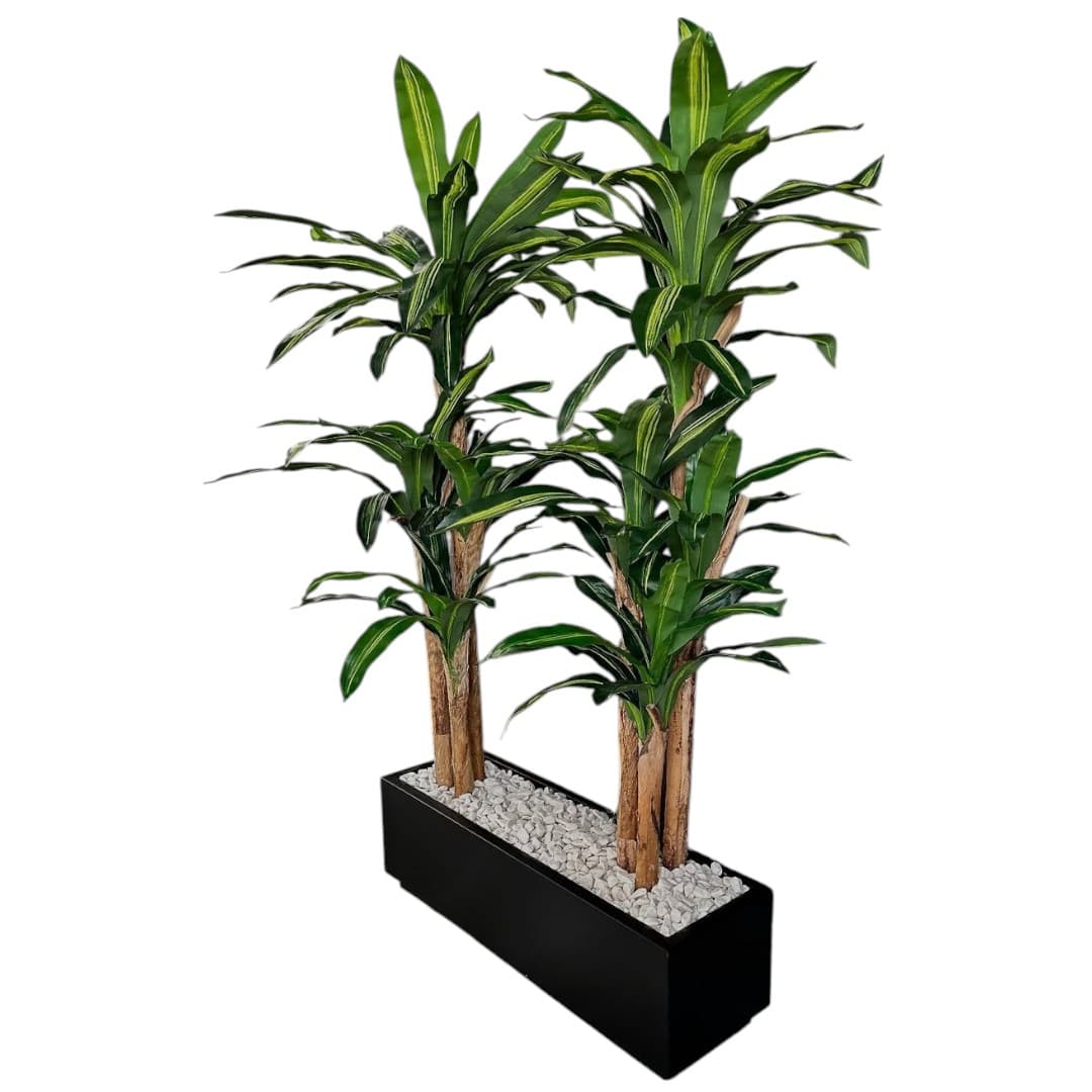 Dracaena Artificial 2 Plants In Black Pot — photo 2 | Planto.ae UAE