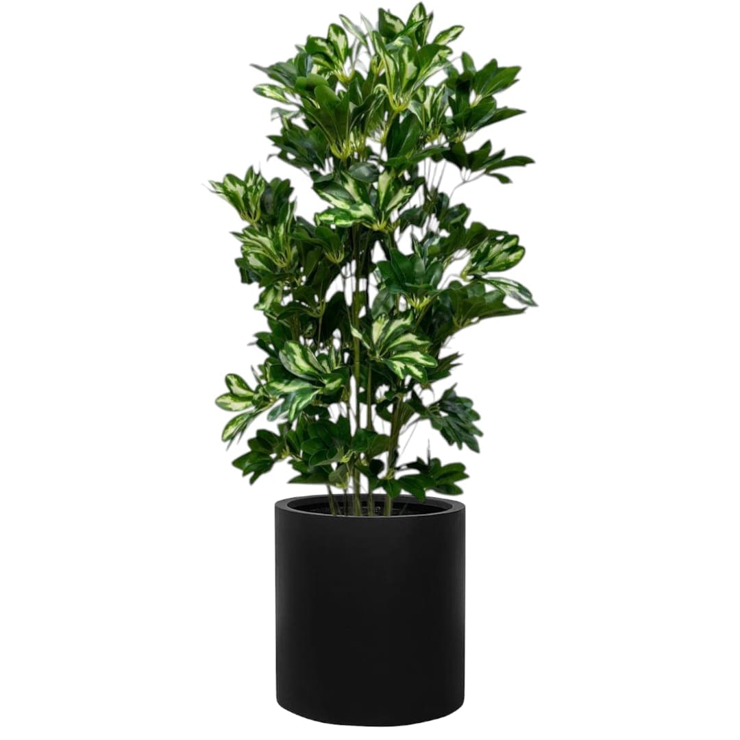 Fake Umbrella Tree 120Cm — photo 2 | Planto.ae UAE