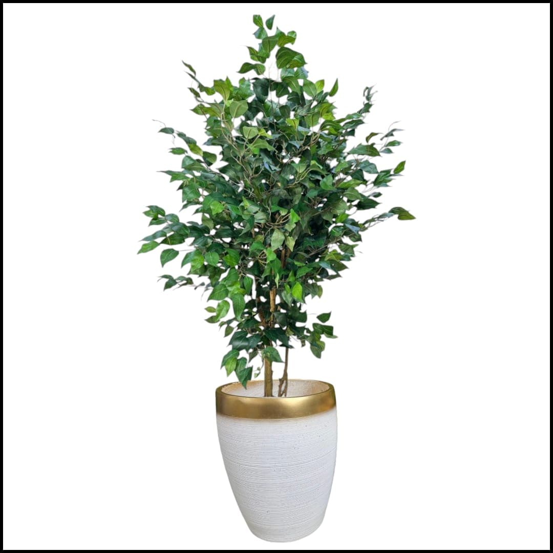Ficus Artificial 150 cm In Ceramic pot — photo 2 | Planto.ae UAE