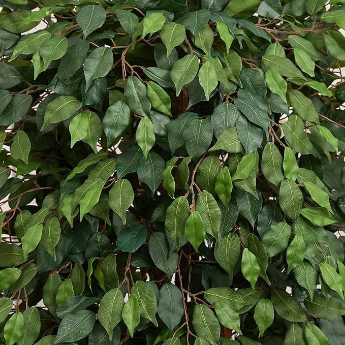 Ficus Artificial Plant In Silver Metal Pot — photo 2 | Planto.ae UAE