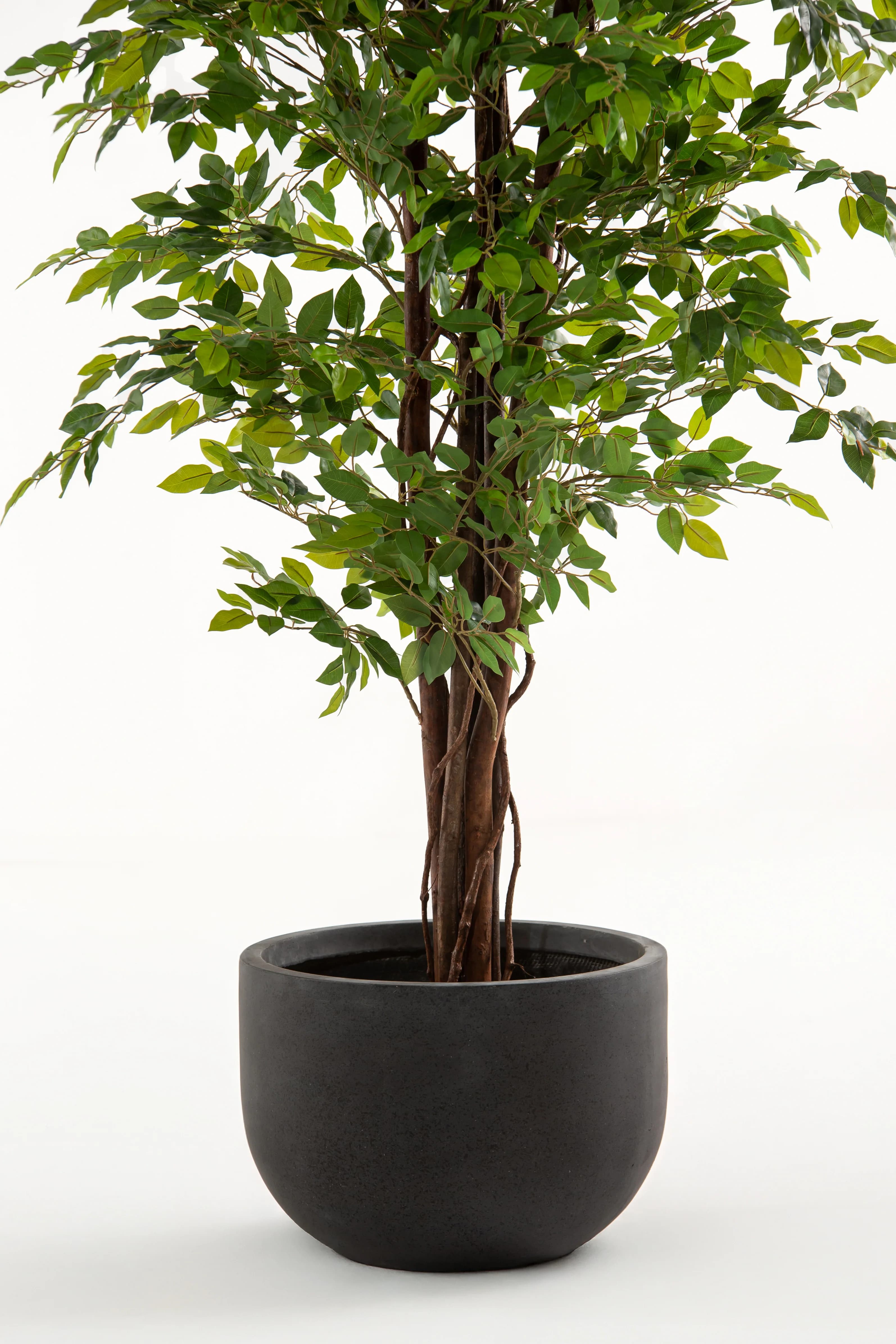 Ficus Benjamina Artificial Plant — photo 3 | Planto.ae UAE