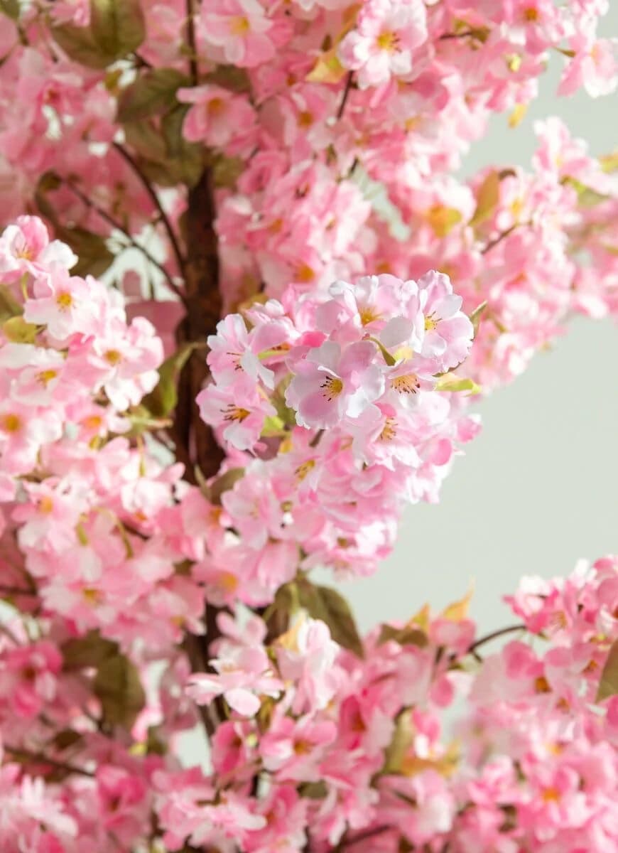 Pink Cherry Blossom Artificial Plant — photo 3 | Planto.ae UAE