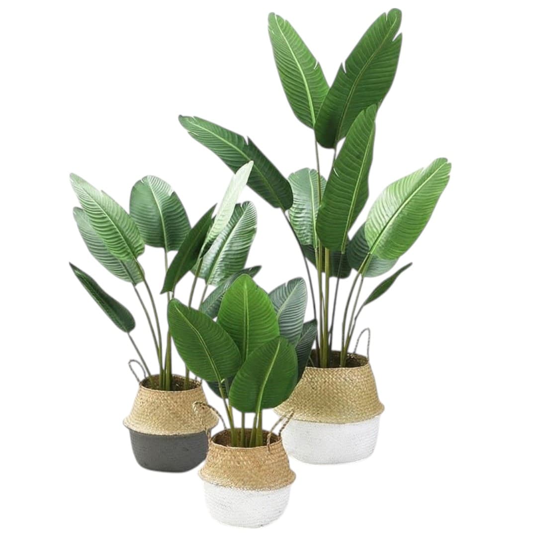 Set Of Three Artificial BirdOf Paradise Plants — photo 2 | Planto.ae UAE