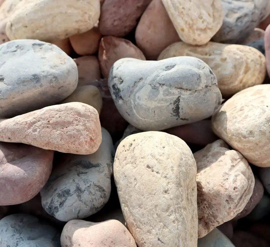 Mix Colour River Stone — Decore And Stones for Dubai & UAE delivery | Planto.ae