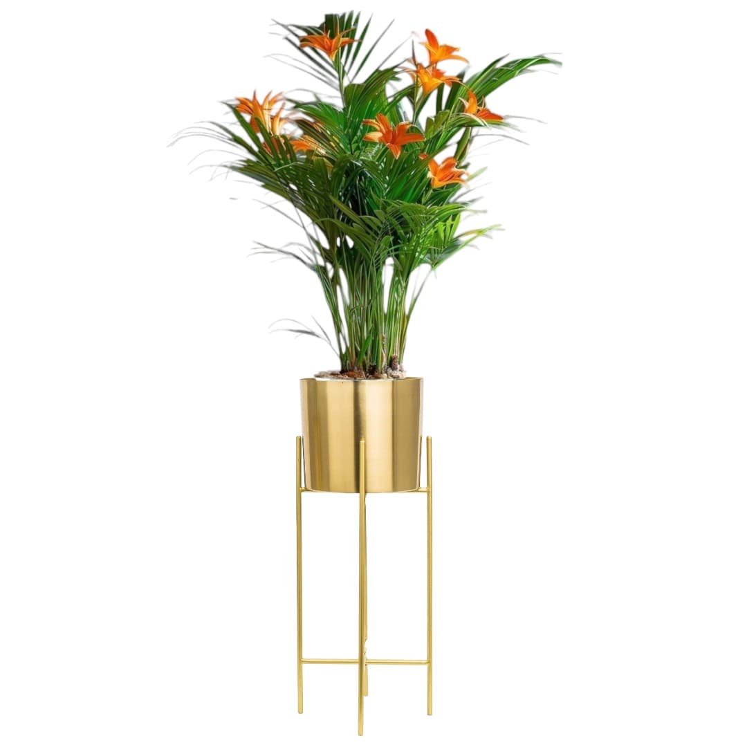 Areca Palm In Golden Stand Pot — photo 2 | Planto.ae UAE