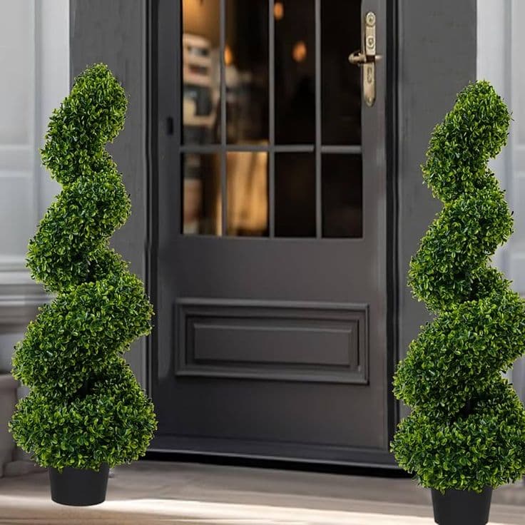 Spiral Topiary Plant – Elegant Entrance Décor(2 plant set) — Outdoor Plants for Dubai & UAE delivery | Planto.ae