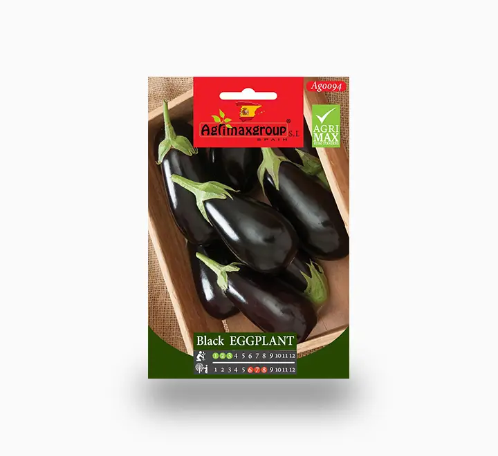 Black Eggplant Seeds — Seeds And Soil for Dubai & UAE delivery | Planto.ae