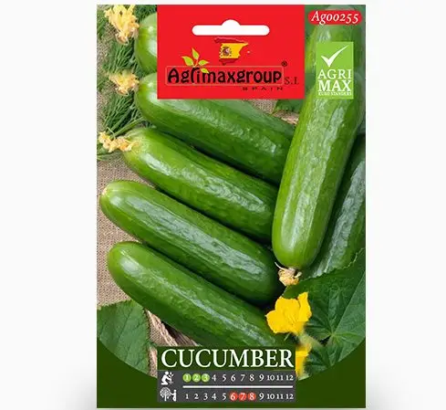 Cucumber Seeds — Seeds And Soil for Dubai & UAE delivery | Planto.ae