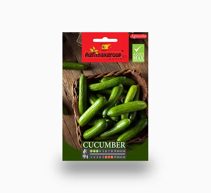 Small Cucumber seeds — Seeds And Soil for Dubai & UAE delivery | Planto.ae