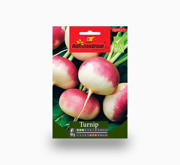 Turnip seeds — Seeds And Soil for Dubai & UAE delivery | Planto.ae